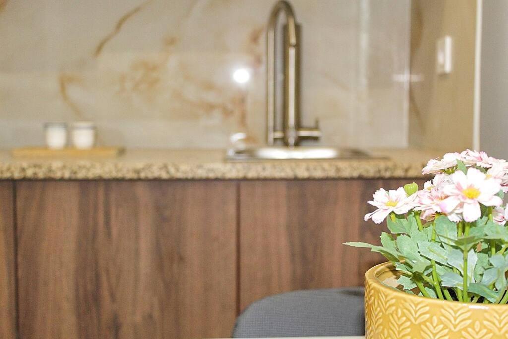 Oporto Sweet Downtown 4 Apartment Luaran gambar